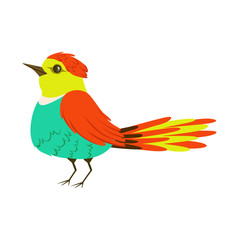 Small colorful tropical bird vector Illustration