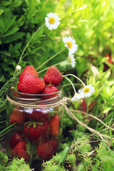 Red strawberry in a jar on the grass background