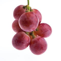 red grape isolated on white