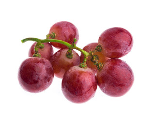 red grape isolated on white