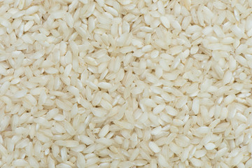 Borlotti rice background