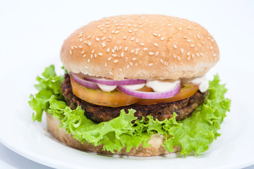 Lentil Burger Preparation :  Lentils burger on white background