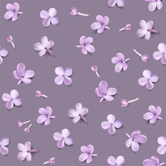Pastel background with lilac flowers.