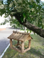 Naklejka premium Кормушка