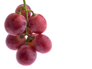 red grape isolated on white