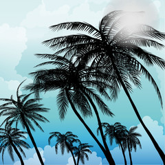 summer_palm_trees