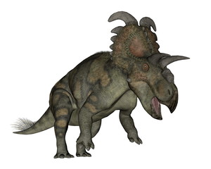 Albertaceratops dinosaur - 3D render