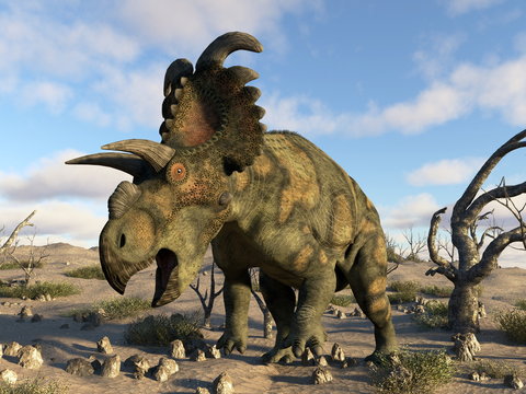Albertaceratops dinosaur in the desert - 3D render