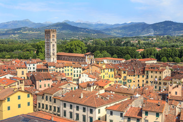Fototapeta na wymiar Panoramic view from Guinigi tower (Torre Guinigi) towards San Frediano Basilica and Piazza dell' Anfiteatro in Lucca