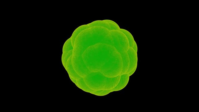 Virus rotiert - Loop 4K 3D Animation