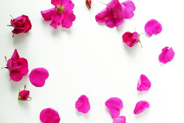 Fototapeta na wymiar Composition of pink roses and petals on a white background