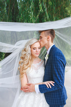 Wedding couple kissing covered veil .Wedding couple is hugging each other. Beauty bride with groom