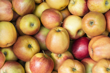 Light red apples background. Group of red apples piled up. Fruty bacground.