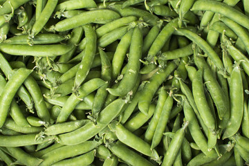 Green peas background texture. Peas green color food agriculture fresh texture. Green pea pod, green peas.