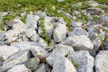 Rocks and grass nature and pattern
