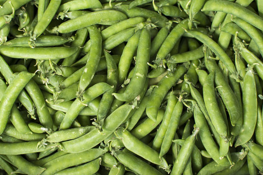 Green peas background texture. Peas green color food agriculture fresh texture. Green pea pod, green peas.