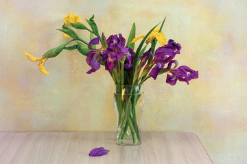 yellow and purple irises in a glass vase on the table