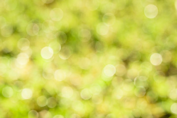 abstract nature background with blurry bokeh defocused lights