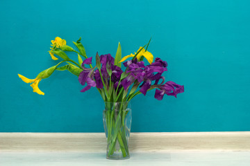 yellow and purple irises in a glass vase in front of the blue wall