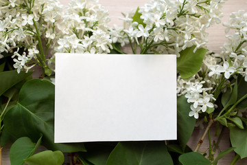blank piece of paper on the flowering branches of white lilac