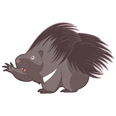 Cartoon happy Porcupine