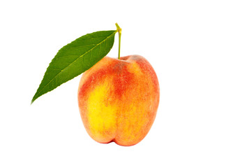 Peach on white background