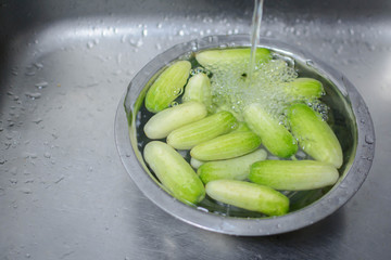 water in Stainless steel basin clean green cucumber