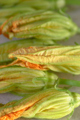 Flowers of pumpkin . Ingredients of Italian cuisine. Close up