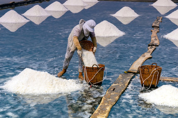 Woman harvesting salt on farm in Can Gio district of Hochiminh city, Vietnam.
