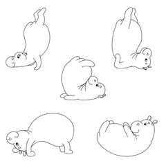 Hippos make sports exercises.