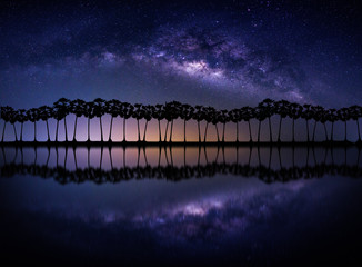 Landscape with Milky way galaxy. Night sky with stars and silhouette coconut palm tree on the...