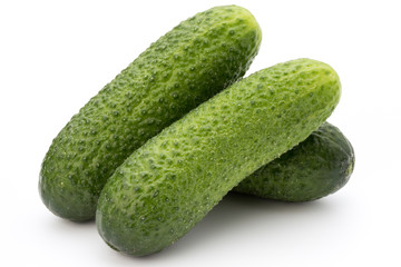 The first spring ecologically cucumbers.