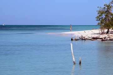 Fototapeta premium Cayo Jutías, Pinar del Río, Cuba