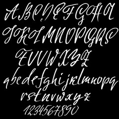Hand drawn elegant calligraphy font. Modern brush lettering. Grunge style alphabet. Vector illustration.