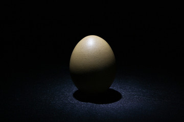 Egg on a dark background with partial lighting
