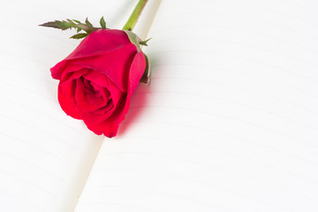 Red rose on notebook background