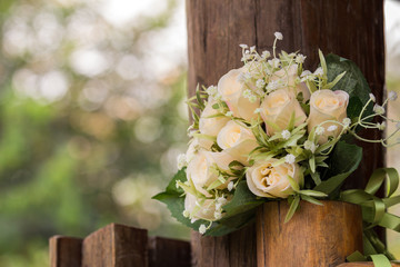 Rose Fabric bokeh background