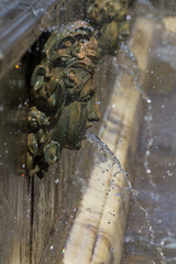 Classical antiquity, fountain