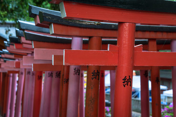 神社の連なった鳥居１