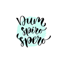 Naklejka na ściany i meble Latin vector phrase - dum spiro spero. Modern calligraphic print. Handwritten quote for cards, poster or t-shirt.