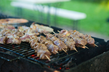 Juicy meat kebabs barbecue, on coals - close-up