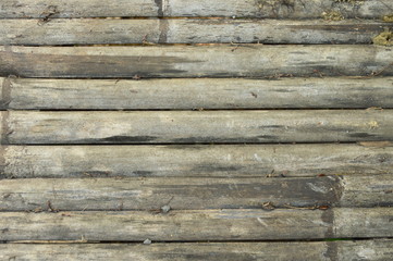 old bamboo litter texture and background