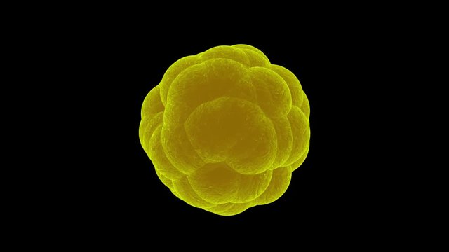 Virus rotiert - Loop 4K 3D Animation