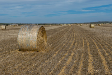 Hay Bales on wheat field during the day