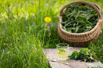 Fresh spring nettle. Suitable for salad, tea or use in cosmetics