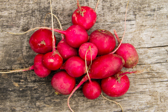 Heap of radish on wooden table. Top view