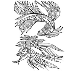 Two small fishes, yin-yang, hand-drawn, vector illustration.