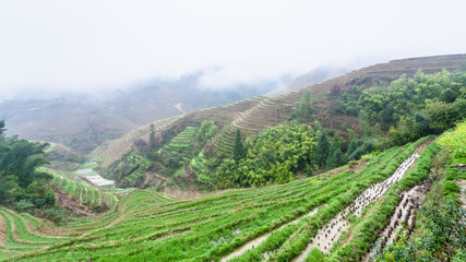 view of wet terraced rice beds from Tiantouzhai