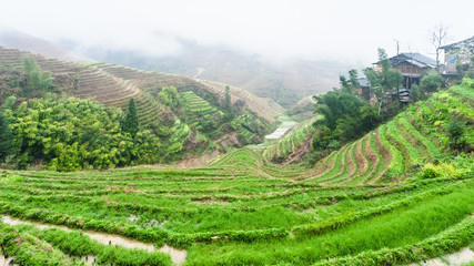 Fototapeta na wymiar terraced rice fields and Tiantouzhai village