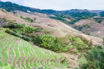 Afwasbaar fotobehang view of terraced fields and cottage in Tiantouzhai © vvoe